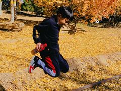 -永定河休闲森林公园