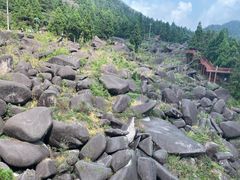 -玉苍山国家森林公园