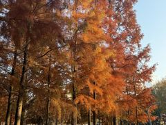 -滨湖塘西河公园