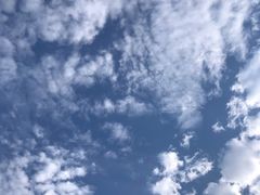 -王森咖啡西点烘焙培训(上海名厨中心店)