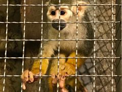 -成都浩海立方海洋公园