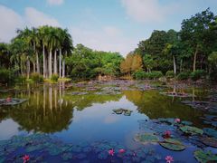 -中国科学院西双版纳热带植物园