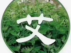 -裕和堂中医推拿艾灸(太古汇臻品店)