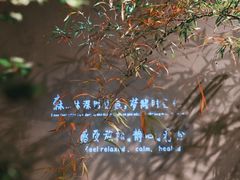 -森SPA·泰式按摩·精油Massage(宝安中心店)