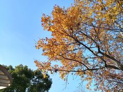 -颐景园