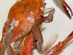 -北塘海鲜·天津菜(大光明桥旗舰店)