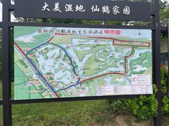 -盐城丹顶鹤湿地生态旅游区