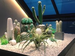 -大树餐厅(红旗街万达店)