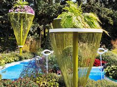 -上海共青森林公园