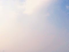 -大金鹰园