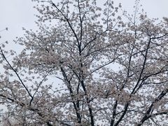 -玉山公园