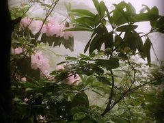 -大明山自然探索公园