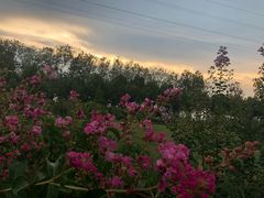 -四里河滨水生态公园