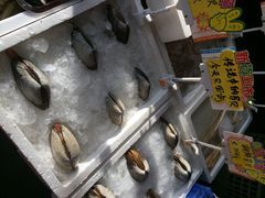 佛山、蚝-蚝专家(北滘店)