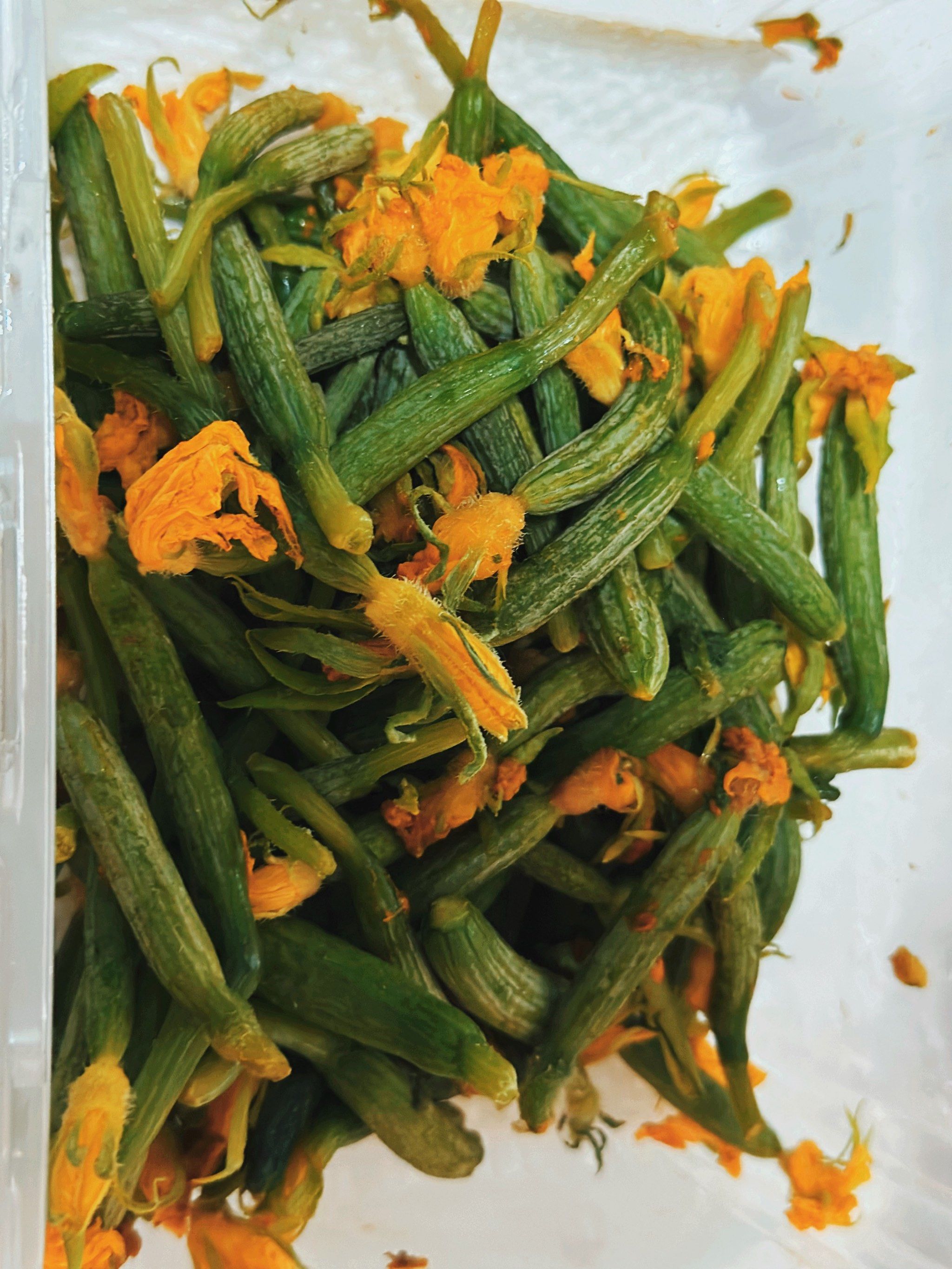 春日吃花花--黄瓜花