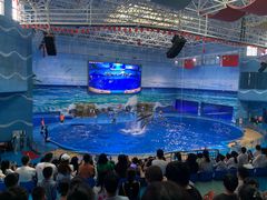 -多彩贵州城极地海洋世界