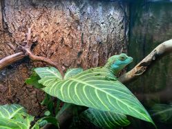 -酷嗒动物文化乐园(cutezoo西溪乐天城店)