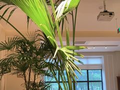 -金谷仓家庭料理(马泉营店)