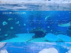 -海合安天津极地海洋公园