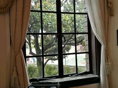-大可堂普洱茶馆(襄阳南路馆)
