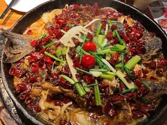 -老板恋上鱼(高新万达店)