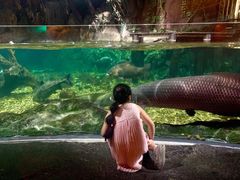 -暹罗海洋世界
