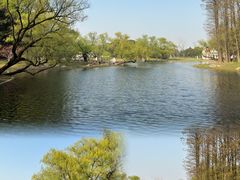 -上海共青森林公园