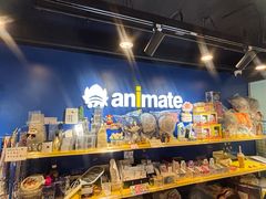 -Animate(工人体育场东路店)