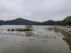 -顺峰山公园