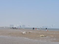 -东戴河风景区-止锚湾