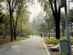 -大兴滨河森林公园