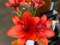 -鄰居neighborhood(马塍路店)