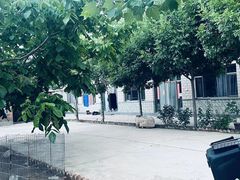-北京京卫宠物寄养训练中心