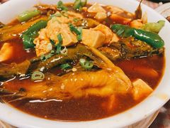 昂刺鱼烧豆腐-吉事利茶餐厅