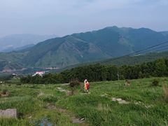 -灵山