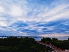 -宝安西湾红树林湿地公园