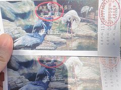 -燕塞湖鸟语林景区