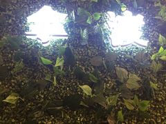 -拿渡·水煮鱼麻辣香锅(王府井奥莱·香江小镇店)