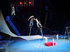 -珠海横琴长隆《卡卡虎奇遇记》