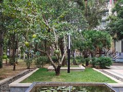 -三亚海棠湾万丽度假酒店