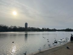 -海德公园