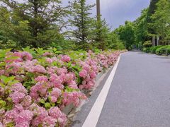 -九宫山风景区