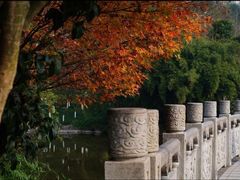 -龙头寺公园