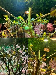 -酷嗒动物文化乐园(cutezoo西溪乐天城店)