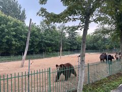 -秦皇岛野生动物园