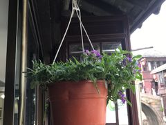 -水乡·印象咖啡馆(周庄店)