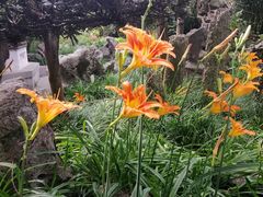 -南通博物苑-崇川人民公园