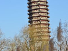 -西海子公园
