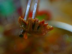-黔江鸡杂火锅(红星路一段)