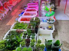 -双季花艺园艺市场(浦东店)